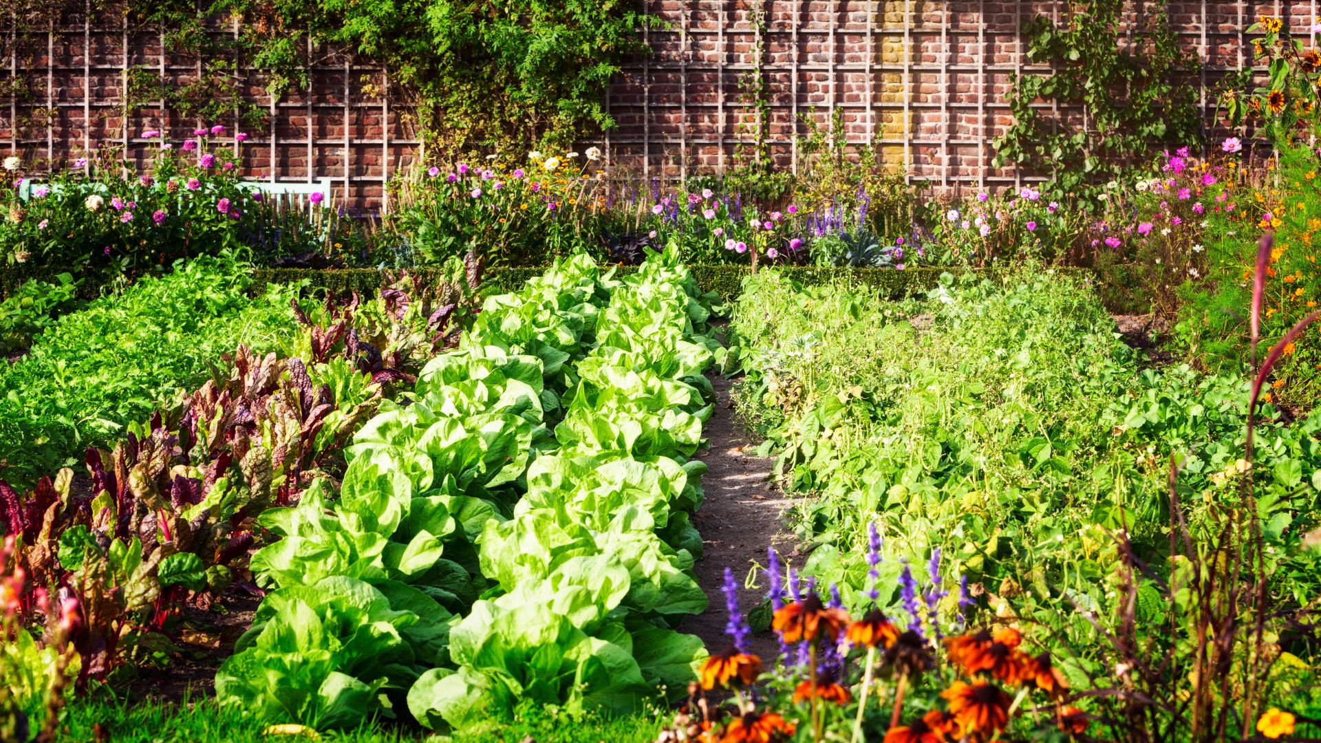 Essential-Tools-for-Effective-Electroculture-Gardening