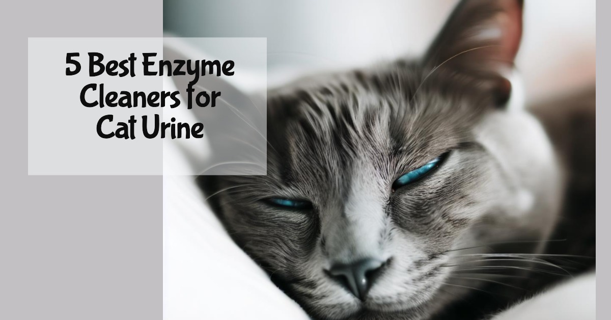 5 Best Enzyme Cleaners for Cat Urine A Comprehensive Review Nebanye