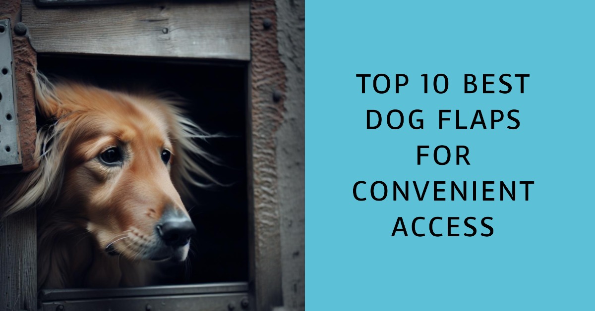 Top-10-Best-Dog-Flaps-for-Convenient-Access