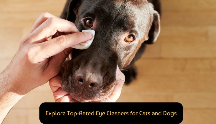 Explore Top-Rated Eye Cleaners for Cats and Dogs: A Comprehensive ...