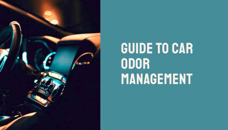 Guide to Car Odor Management: Natural Solutions and Top-Rated Air ...